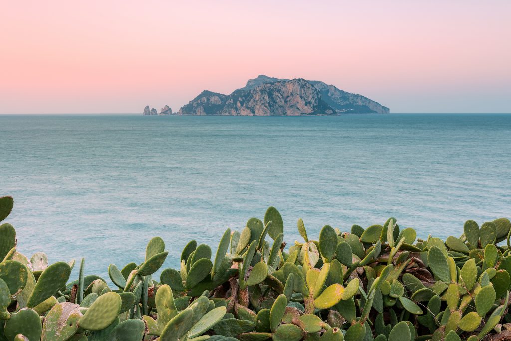 Capri