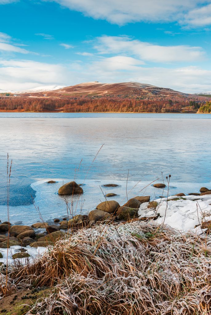 Frozen Lake
