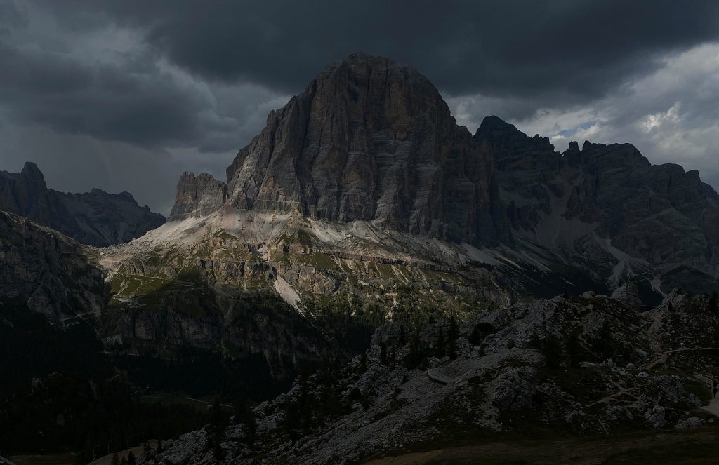 Landscape Gallery
